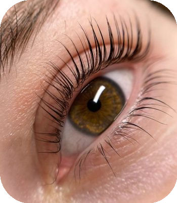 kurz lash lifting pro pokrocile